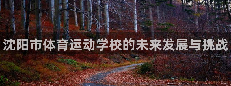 MK体育官网下载软件:沈阳市体育运动学校的未来发展与挑战