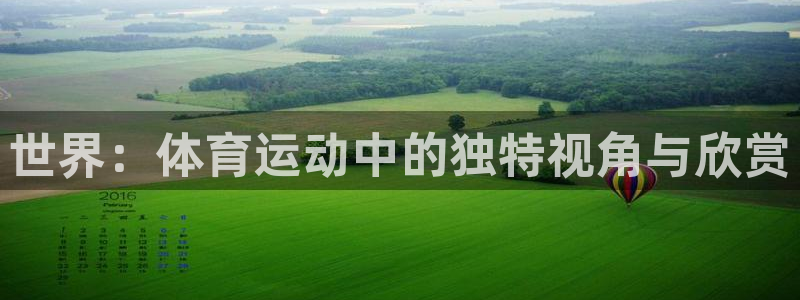 德国MK体育官方正版app集团:世界:体育运动中的独特视角与