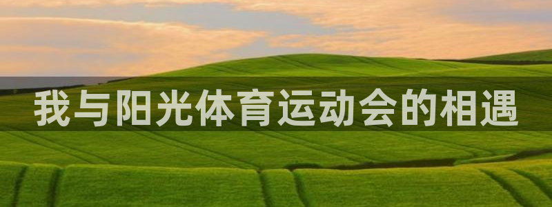 MK体育官网下载是干嘛的公司:我与阳光体育运动会的相遇