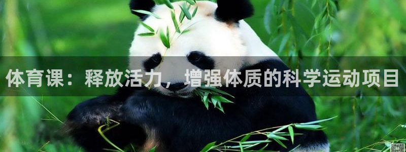 MK体育官方正版app集团官网首页:体育课:释放活力,增强体