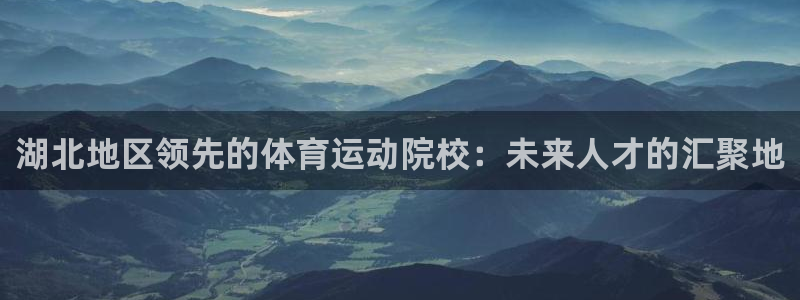 MK体育官方正版app官方:湖北地区领先的体育运动院校:未来
